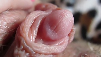 A Close-Up Of My Throbbing Clit Head