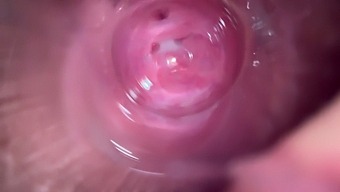 Close-Up Video Of Teen'S Internal Orgasmic Pleasure