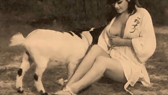Classic Taboo: Intimate Moments Between A Woman And Her Dog In A Retro Setting